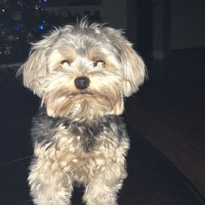 Meet your Posher, Luiza